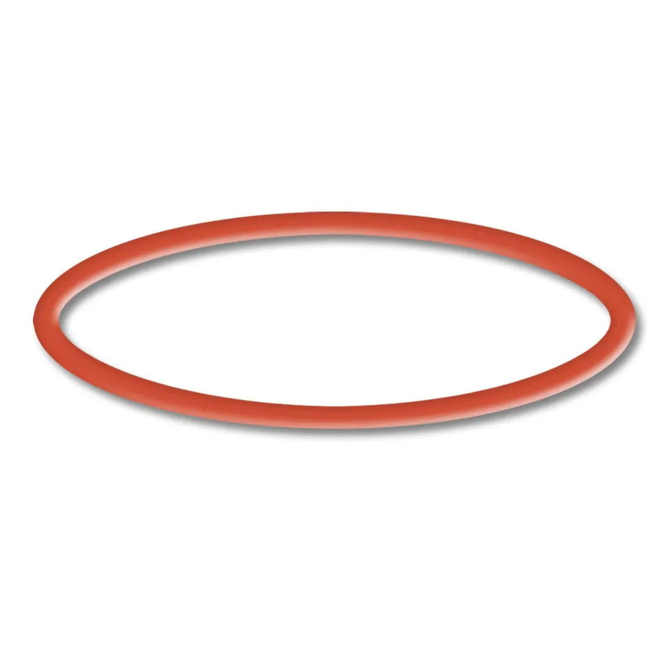 sunsun-cpp-10000-joint-torique-2-pompe-piscine-rouge image 1