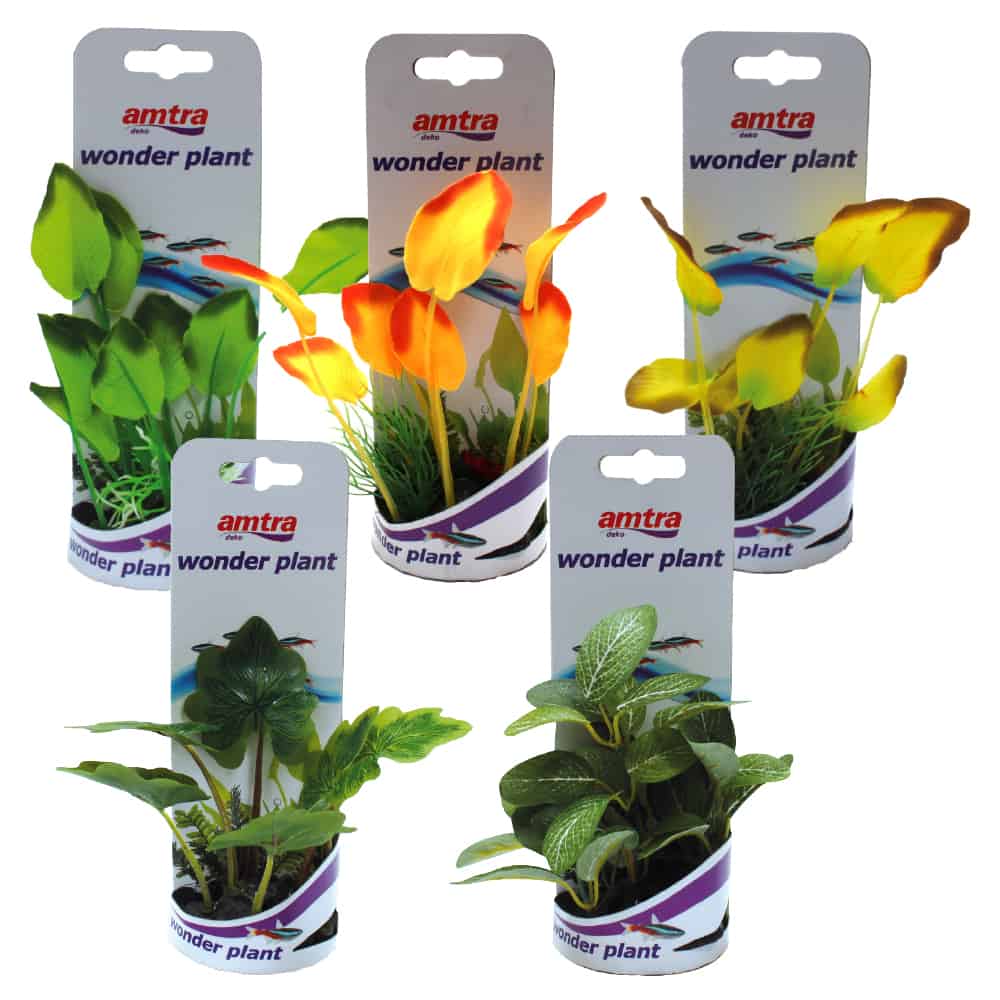 amtra-wonder-plant-a-petite-plante-aquarium-12-13-cm image 1