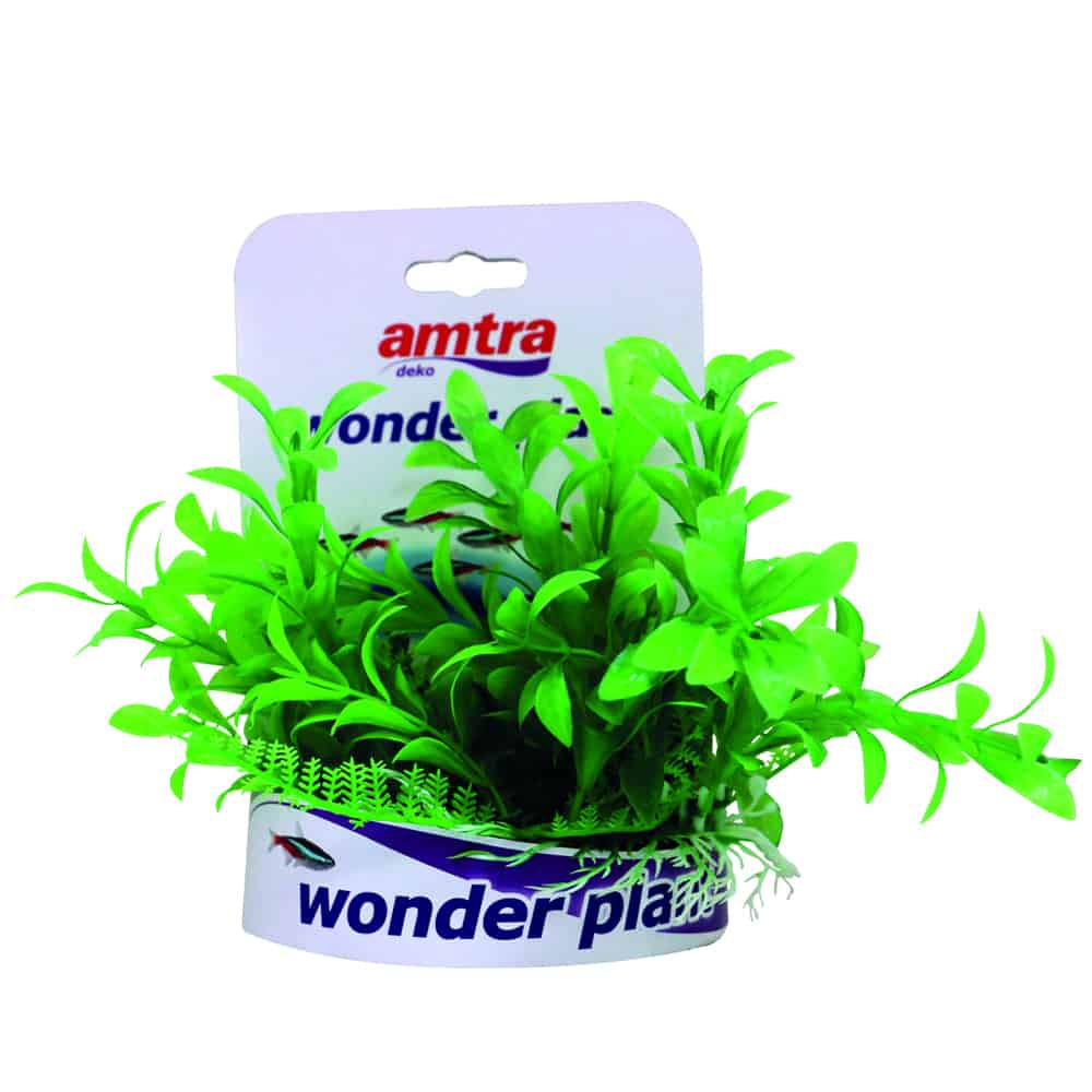 amtra-wonder-plant-s-rie-c-plante-aquarium-15-18-cm-plastique image 3