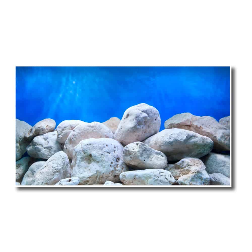 amtra-sfond-double-adventure-fond-aquarium-double-face image 1