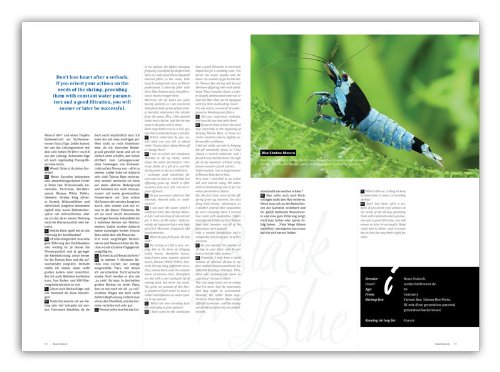 dennerle-plants-breeders-keepers-magazine-crevettes-vol-1 image 5