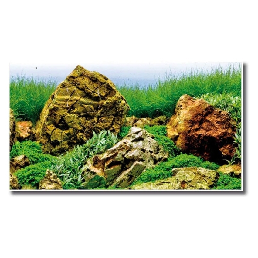 amtra-vision-fond-aquarium-double-face-45x100-cm-plastique image 4