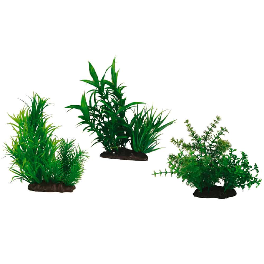 amtra-reef-rock-japanese-set-2-plante-d-co-15-cm image 1