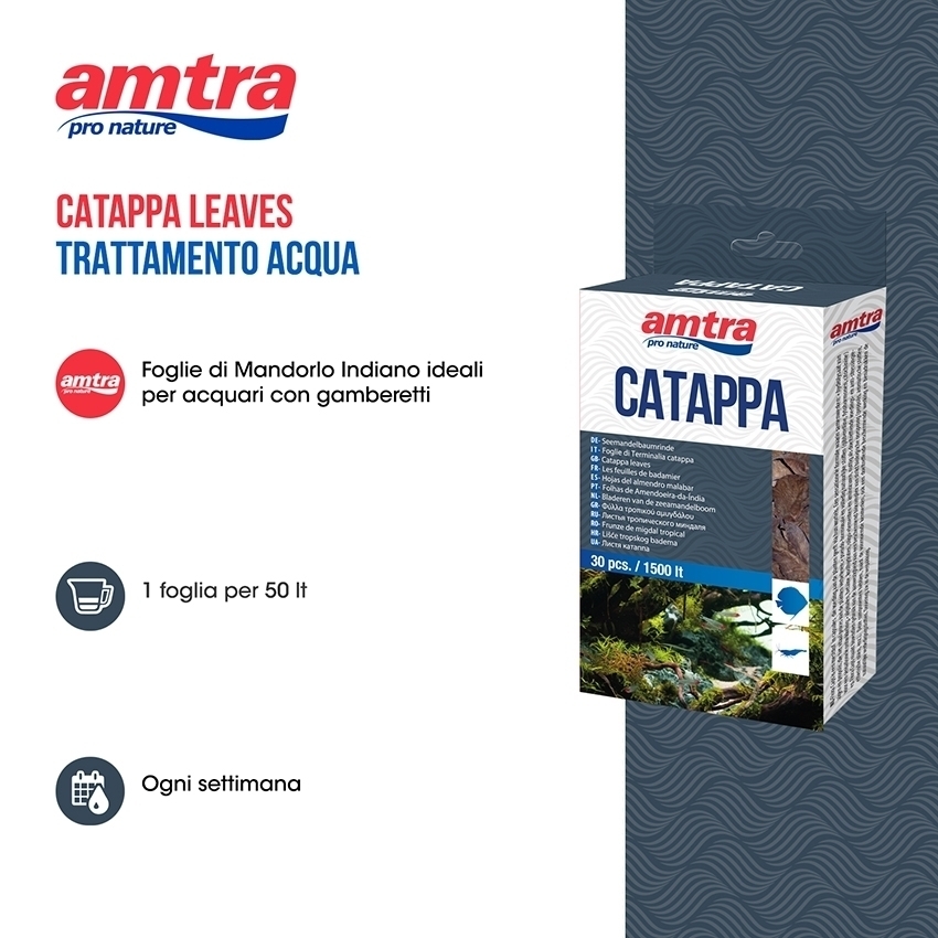amtra-catappa-leaves-30-feuilles-aquarium-eau-douce image 2