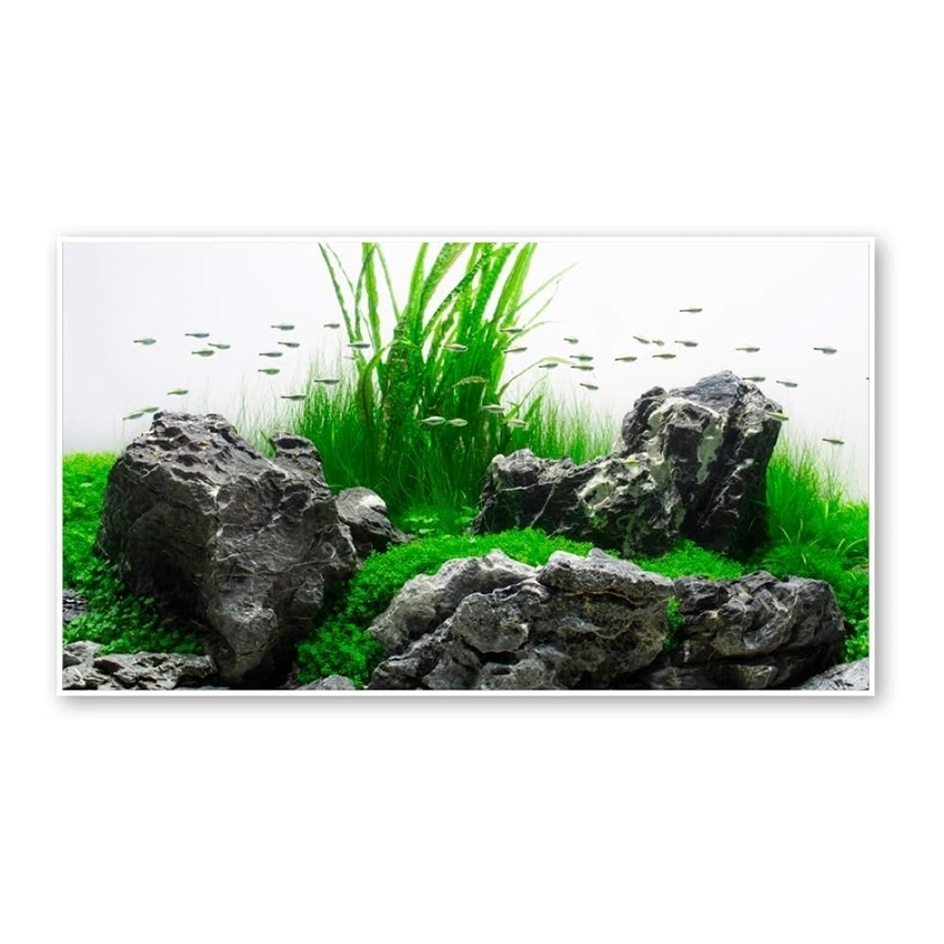 amtra-amazonia-fond-aquarium-double-face-30x60-plastique image 4