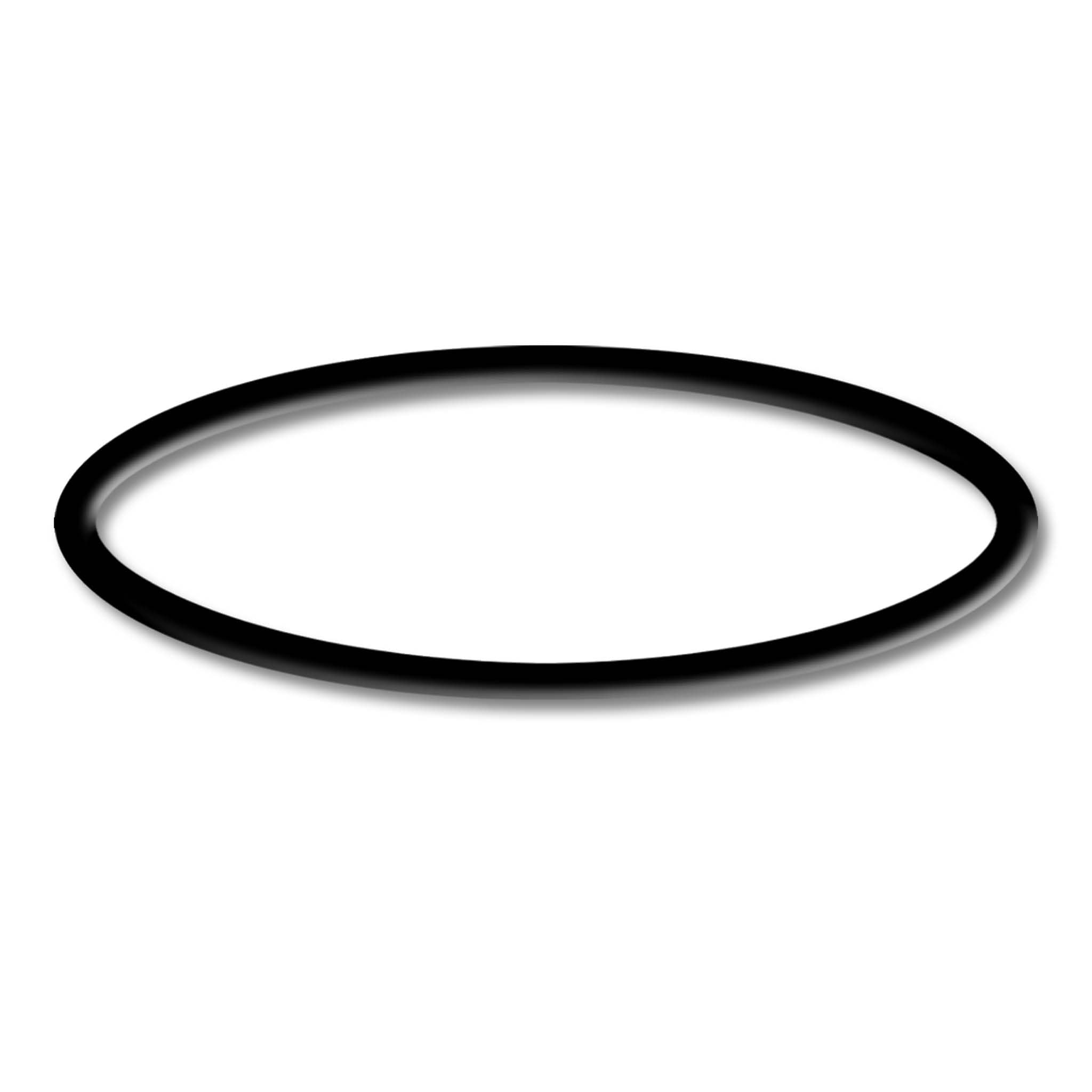 sunsun-spare-parts-cbf-350b-joint-torique-sortie-filtre-bassin image 2