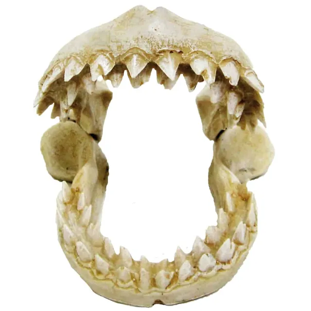 amtra-reef-rock-denti-di-squalo-s-d-cor-aquarium-r-sine image 1