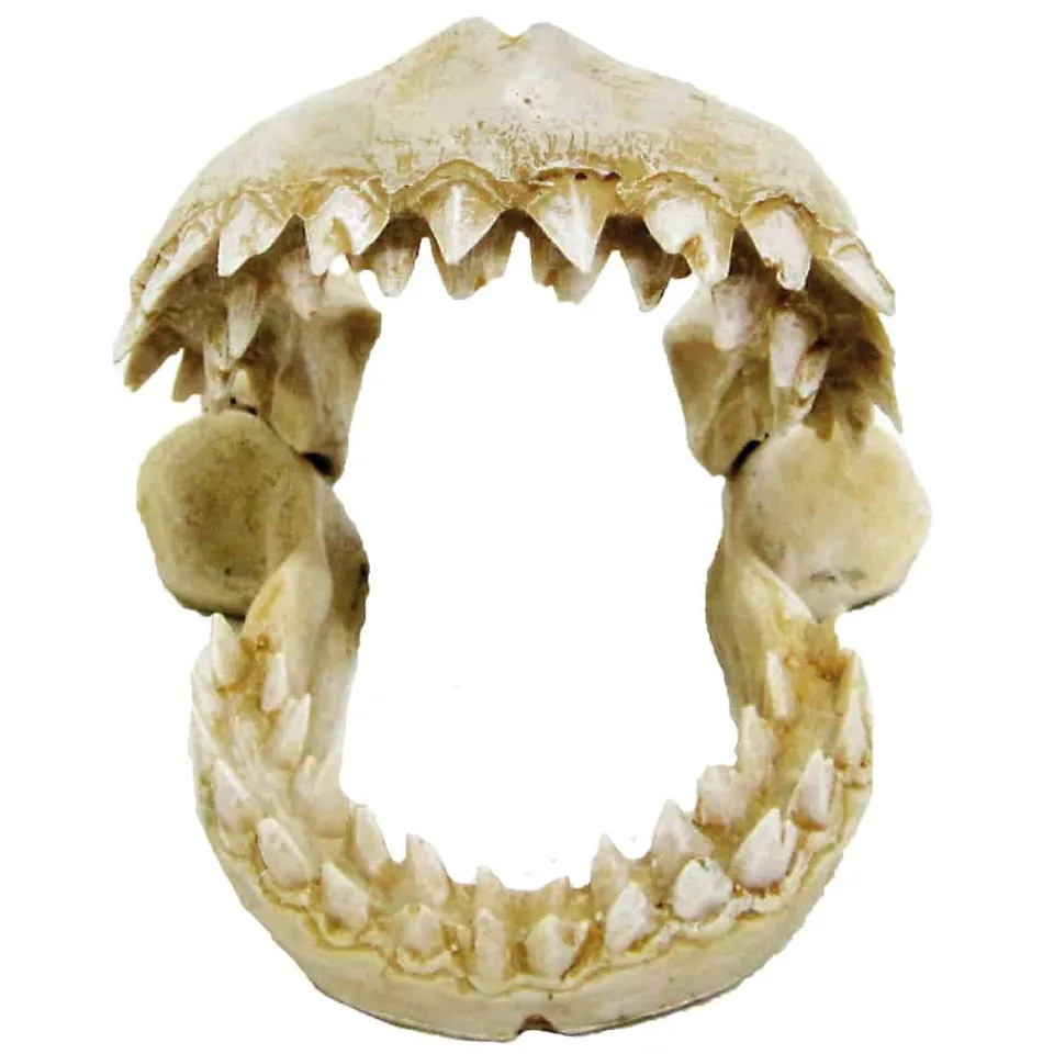 amtra-reef-rock-denti-di-squalo-s-d-cor-aquarium-r-sine image 1