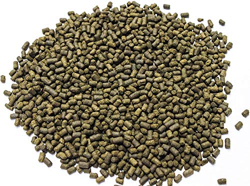 dennerle-cichlid-veggy-aliment-poissons-200-ml-spiruline image 5