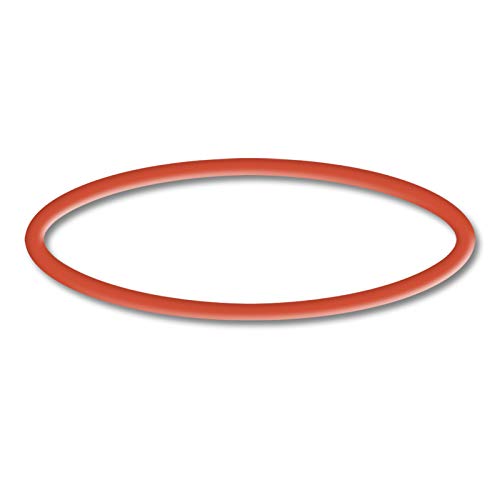 sunsun-cpp-10000-joint-torique-2-pompe-piscine-rouge image 4