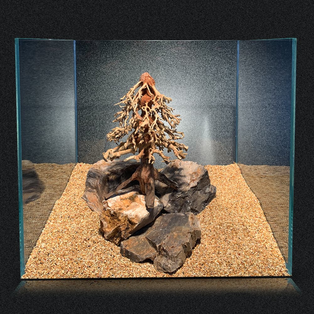 amtra-reef-rock-oriental-wind-8-racine-aquarium-bois-md image 2