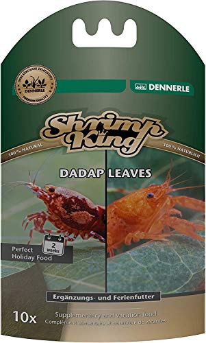 dennerle-shrimp-king-dadap-leaves-crevettes-x10 image 3