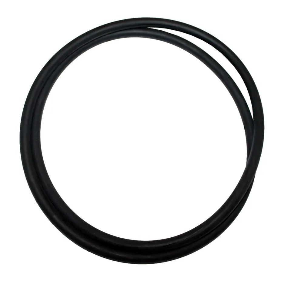 sunsun-cpf-250-joint-torique-filtre-pression-couvercle image 1