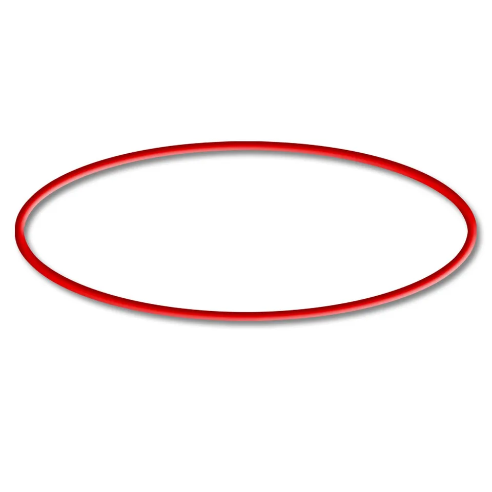 sunsun-cuv-joint-torique-o-ring-2-clarificateur-uv-bassin image 1