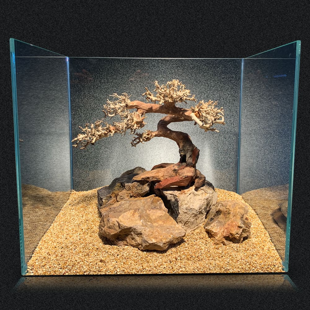 amtra-oriental-wind-5-d-cor-aquarium-bois-naturel image 2
