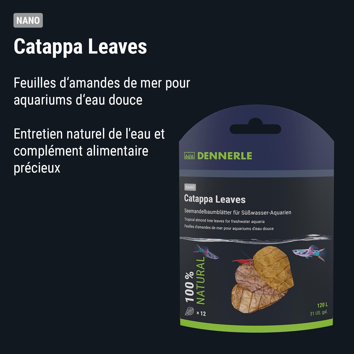 dennerle-nano-catappa-leaves-feuilles-badamier-naturelles image 3