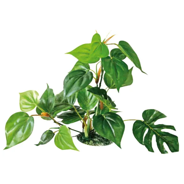 amtra-reef-rock-anubias-plante-artificielle-30-cm image 1
