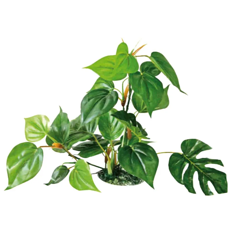 amtra-reef-rock-anubias-plante-artificielle-30-cm image 1