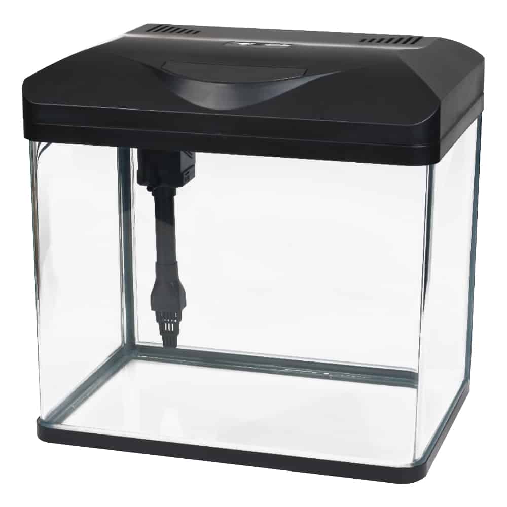 amtra-laguna-led-aquarium-verre-18-litres-avec-filtre image 4