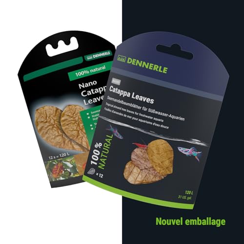 dennerle-nano-catappa-leaves-feuilles-badamier-naturelles image 8