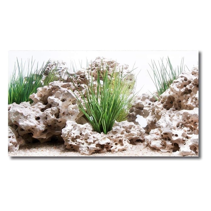 amtra-wonder-fond-aquarium-double-face-45x100-cm-plastique image 4