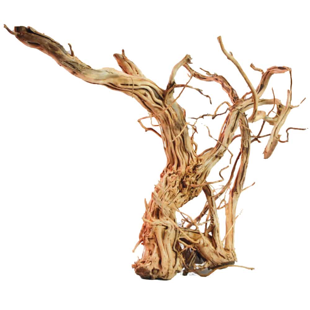 amtra-dragon-skin-bois-naturel-aquarium-aquascaping-sm image 1