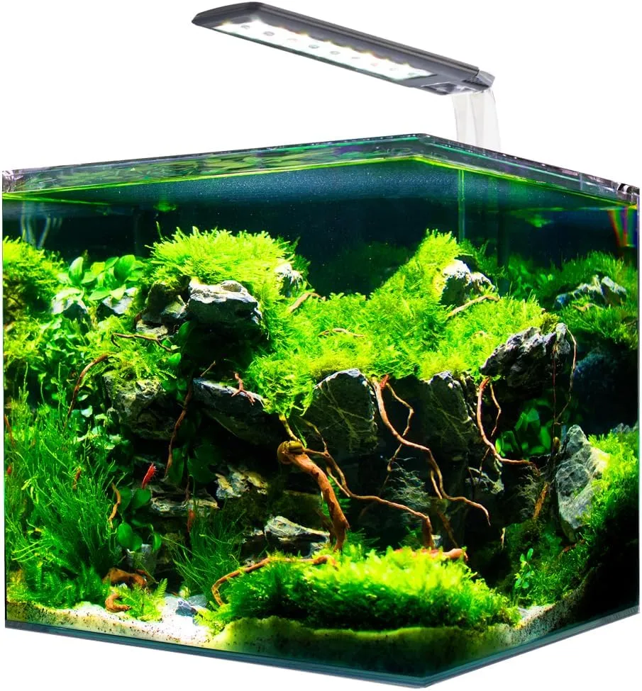 amtra-nanotank-cubo-system-aquarium-verre-25x25x30-cm-18-l image 1