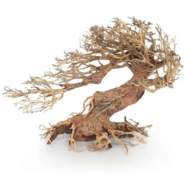 amtra-oriental-wind-3-racine-aquarium-aquascaping image 1