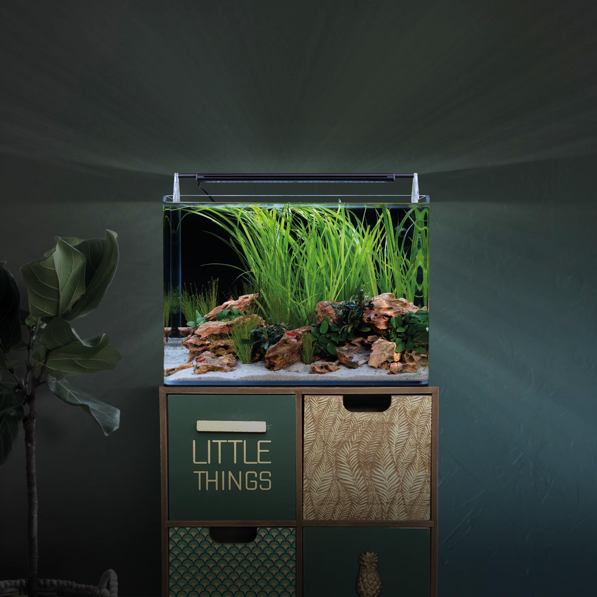 dennerle-nano-tank-basic-aquarium-nano-35-litres-led image 4