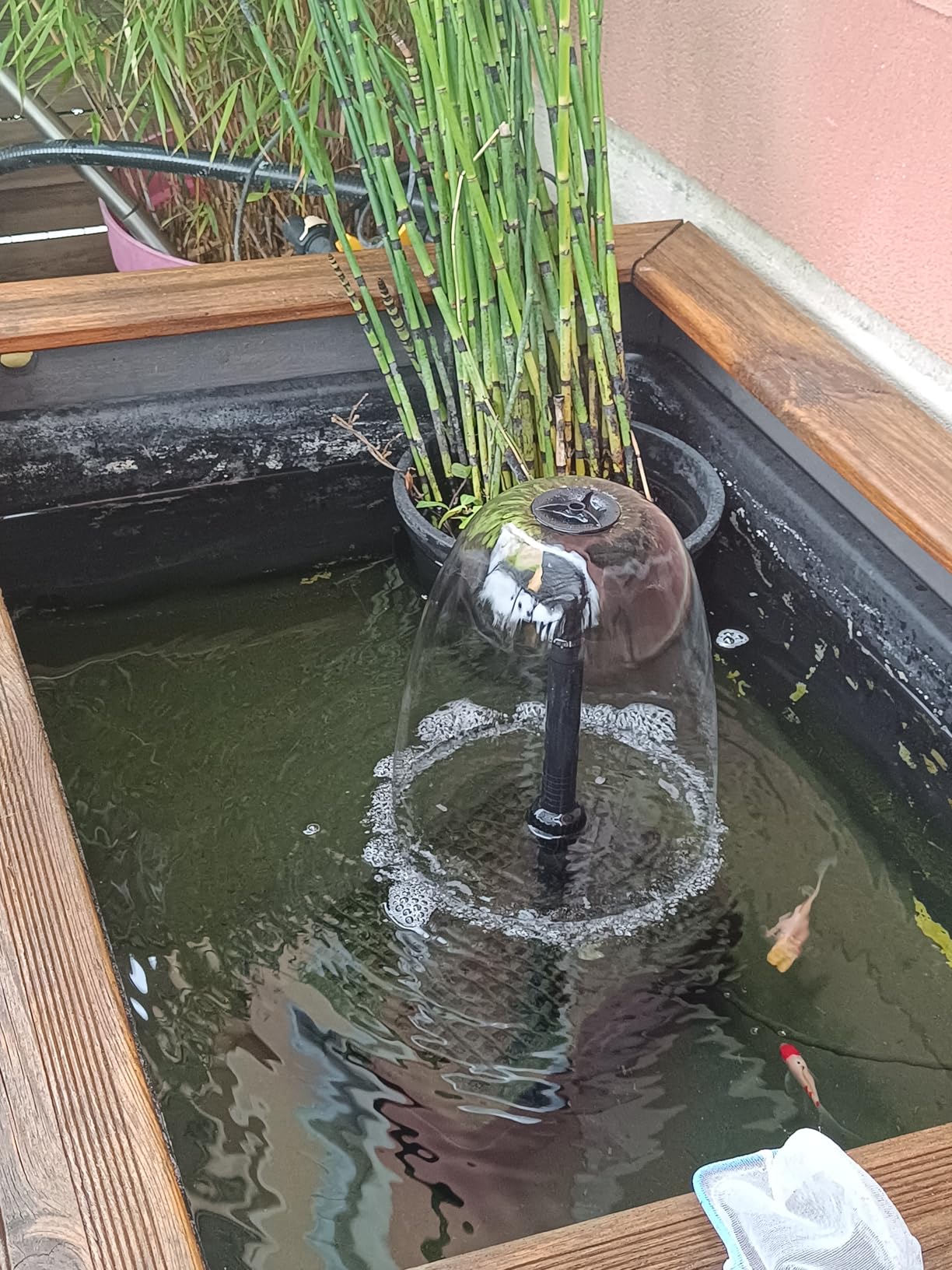 Bassin propre