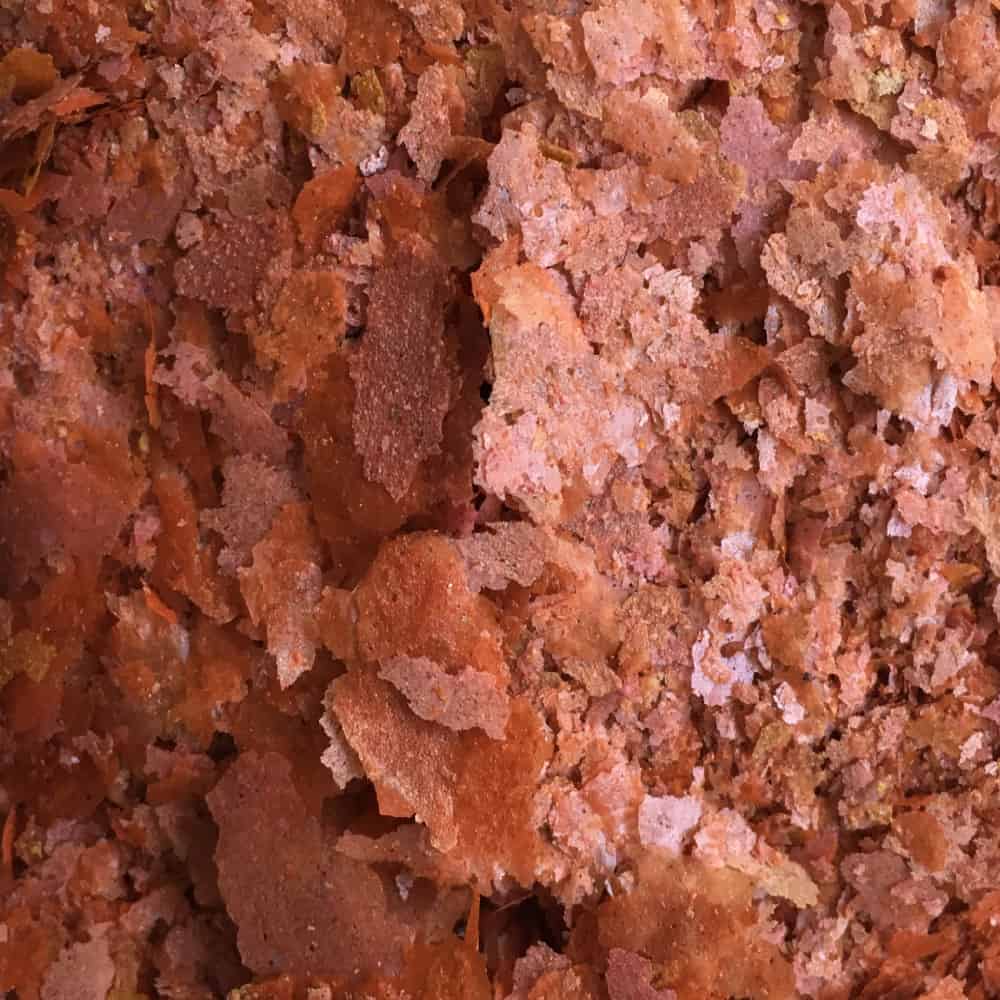amtra-pro-color-paillettes-poisson-krill-100-ml image 2