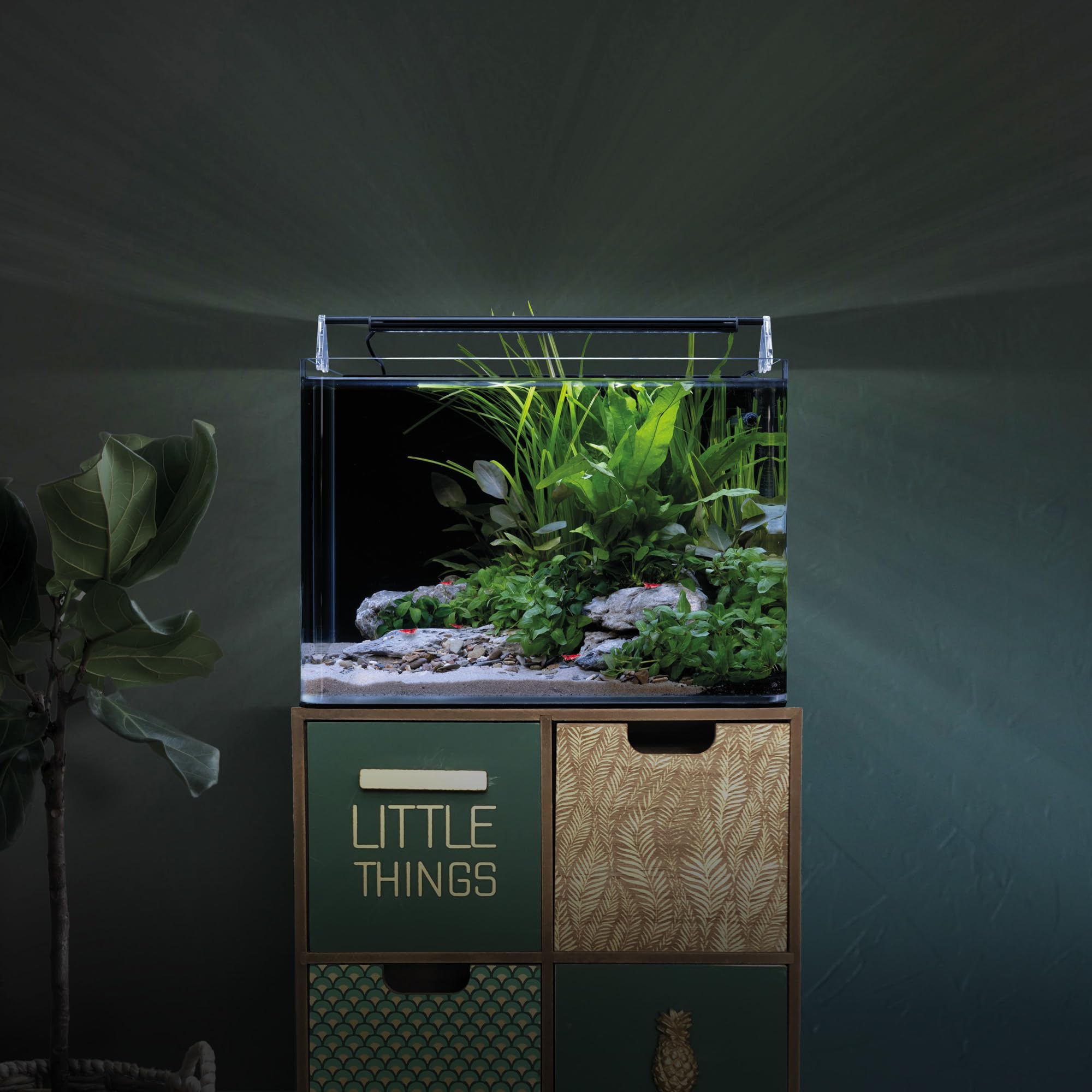 dennerle-nano-tank-complete-aquarium-35l-led-filtre image 4