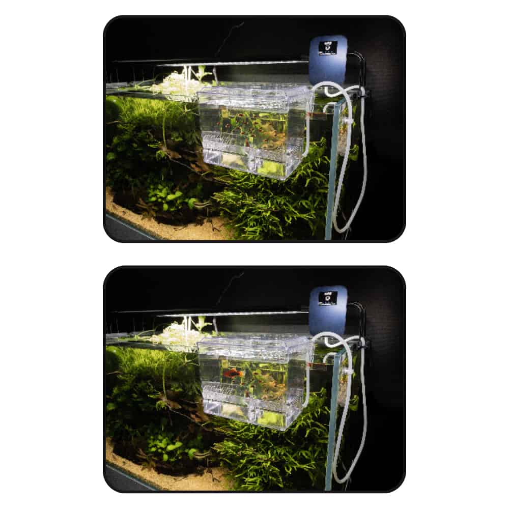 amtra-algen-scraper-pondoir-externe-aquarium-hang-on-alevins image 3