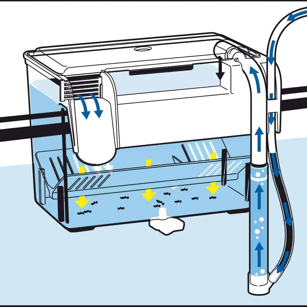 amtra-algen-scraper-pondoir-externe-aquarium-hang-on-alevins image 6