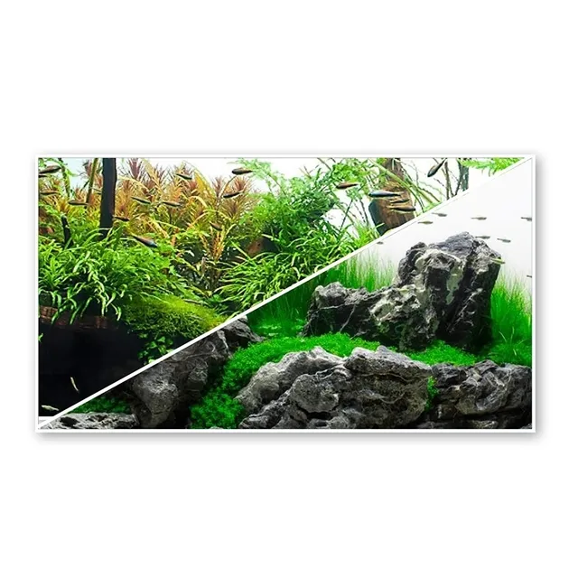 amtra-amazonia-fond-aquarium-double-face-30x60-plastique image 1