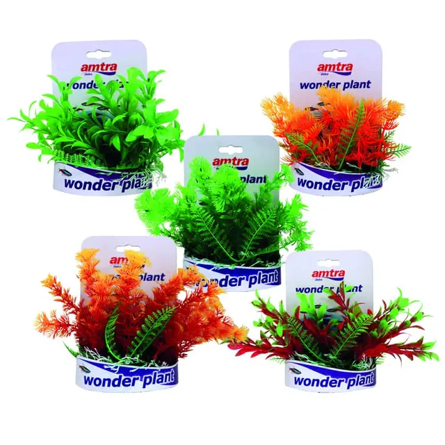 amtra-wonder-plant-s-rie-c-plante-aquarium-15-18-cm-plastique image 1