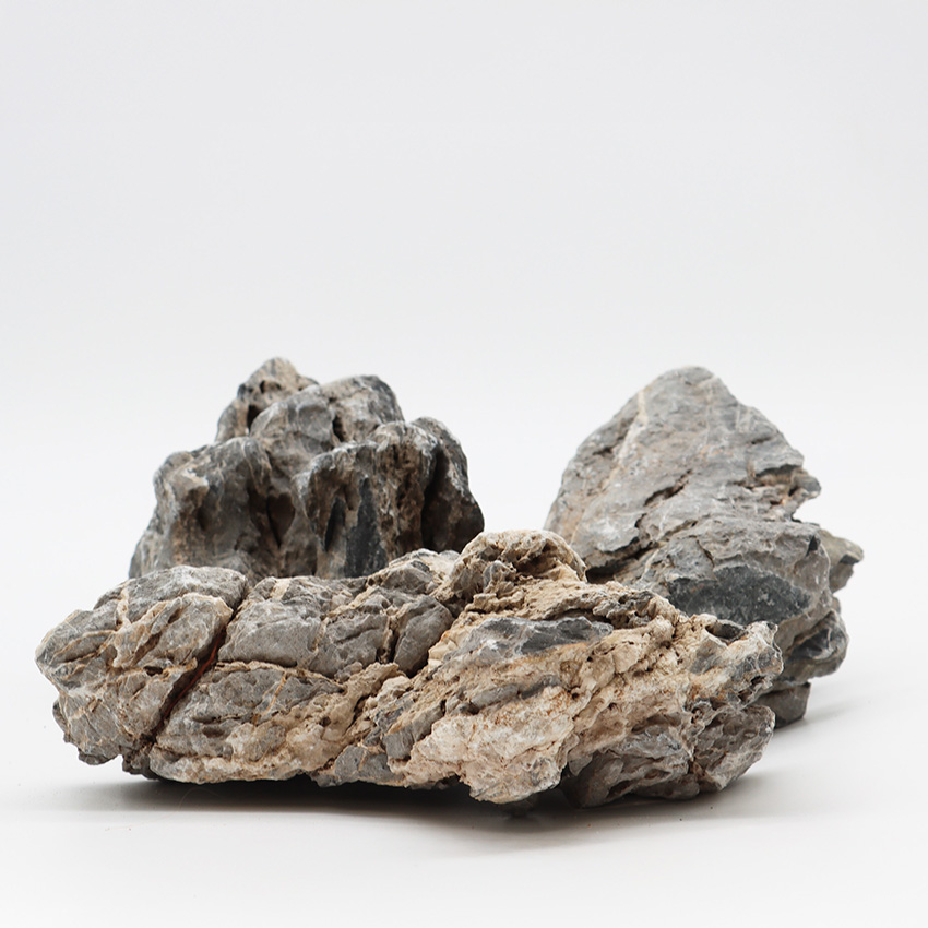 amtra-reef-rock-dragon-stone-roche-aquarium-aquascaping image 2
