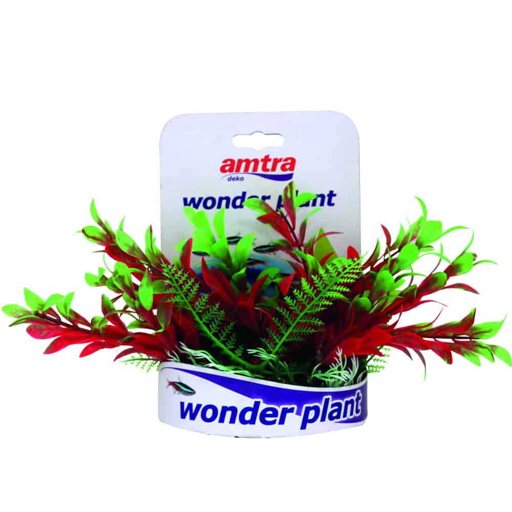 amtra-wonder-plant-s-rie-c-plante-aquarium-15-18-cm-plastique image 6