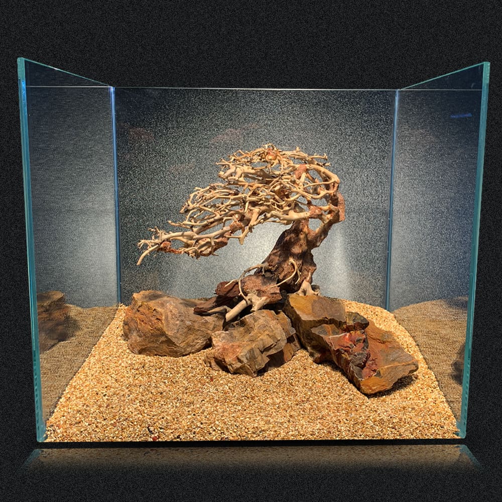 amtra-oriental-wind-3-racine-aquarium-aquascaping image 2