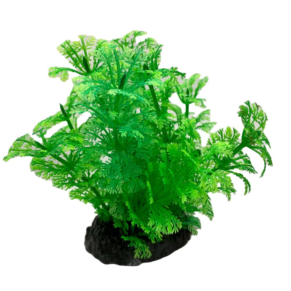 amtra-tropical-plant-plante-artificielle-8-cm-d-cor image 3