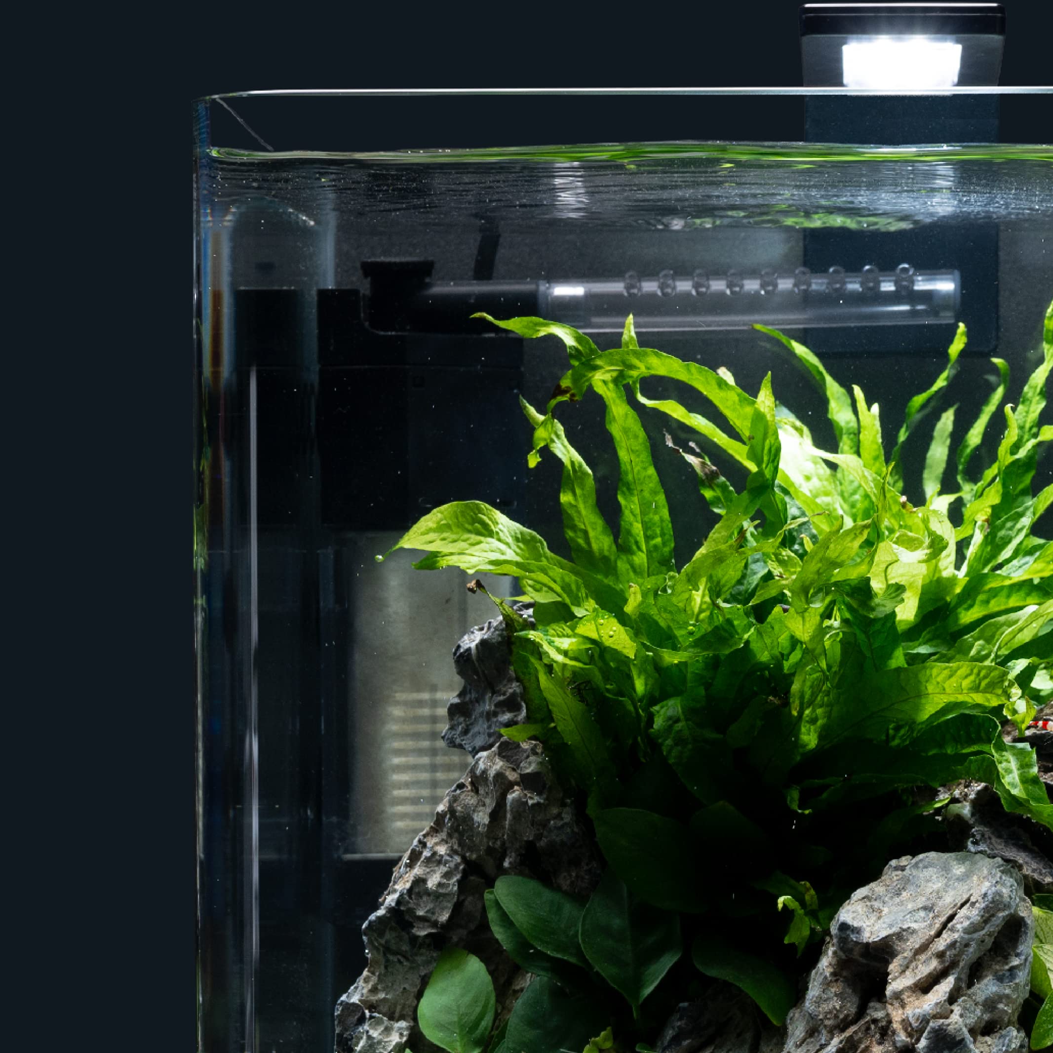 dennerle-filtering-nano-filtre-angle-aquarium-10-40-l image 7