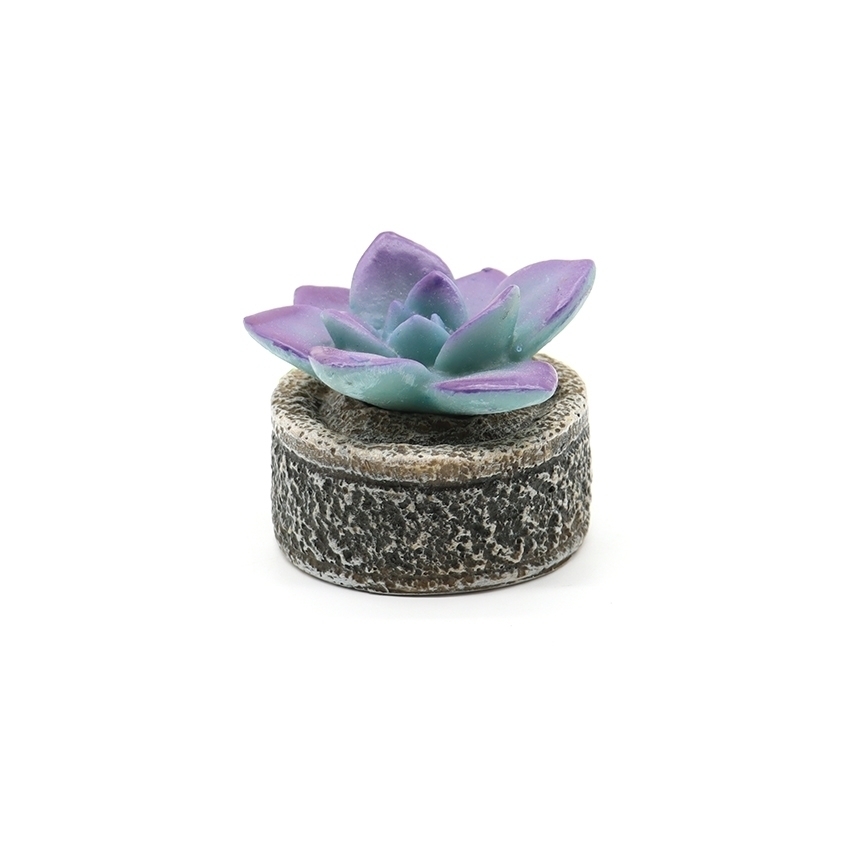 amtra-succulent-d-co-aquarium-r-sine-couleur-assortie image 5