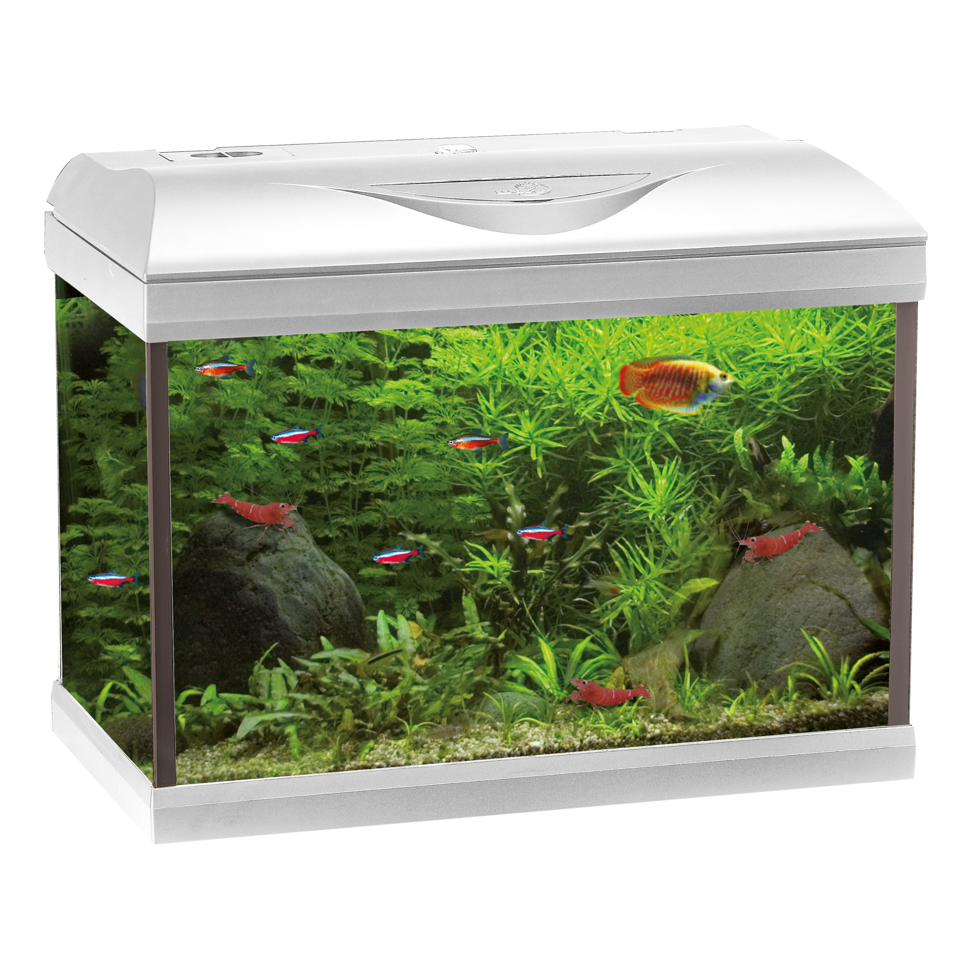 amtra-system-basic-led-aquarium-25l-blanc-avec-filtre image 2