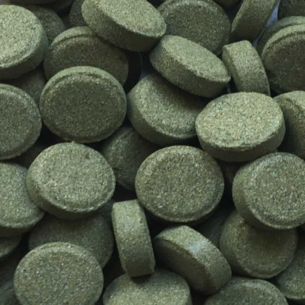 amtra-frost-pro-vegetal-tabs-nourriture-pastilles-spiruline image 2