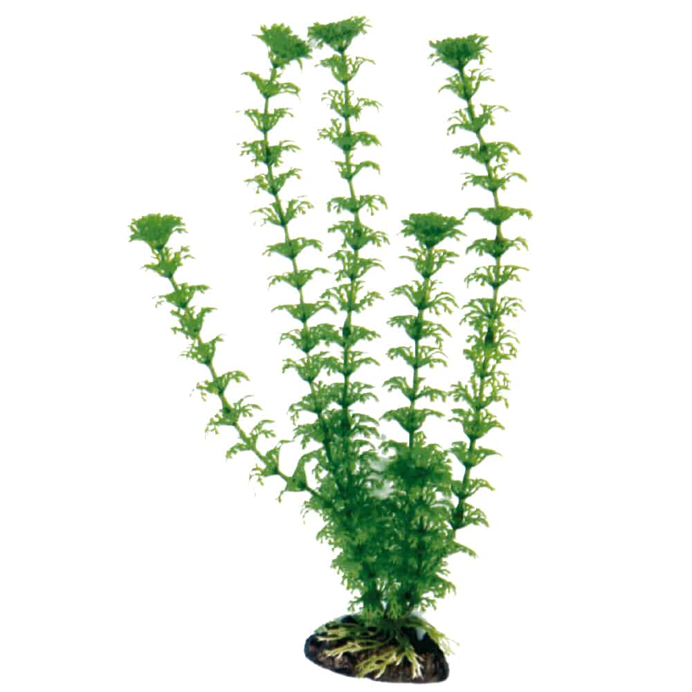 amtra-plant-classic-cabomba-plante-artificielle-aquarium image 1