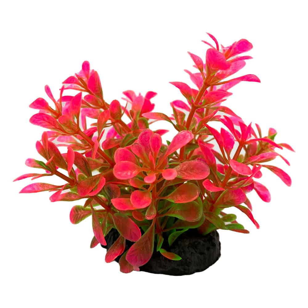 amtra-tropical-plant-plante-artificielle-8-cm-d-cor image 2