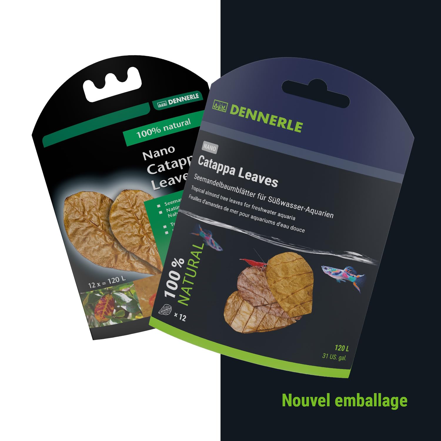 dennerle-nano-catappa-leaves-feuilles-badamier-naturelles image 2