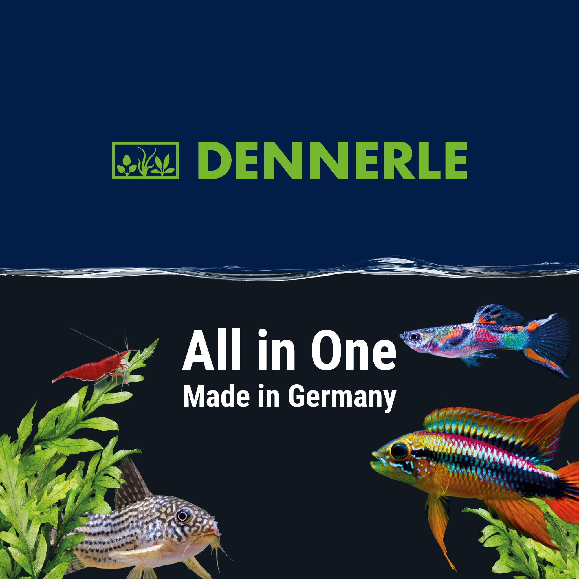 dennerle-watercare-all-in-one-elixier-soin-250-ml image 8