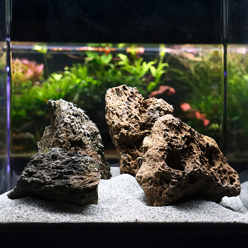 amtra-reef-rock-firework-roche-aquarium-naturelle image 4