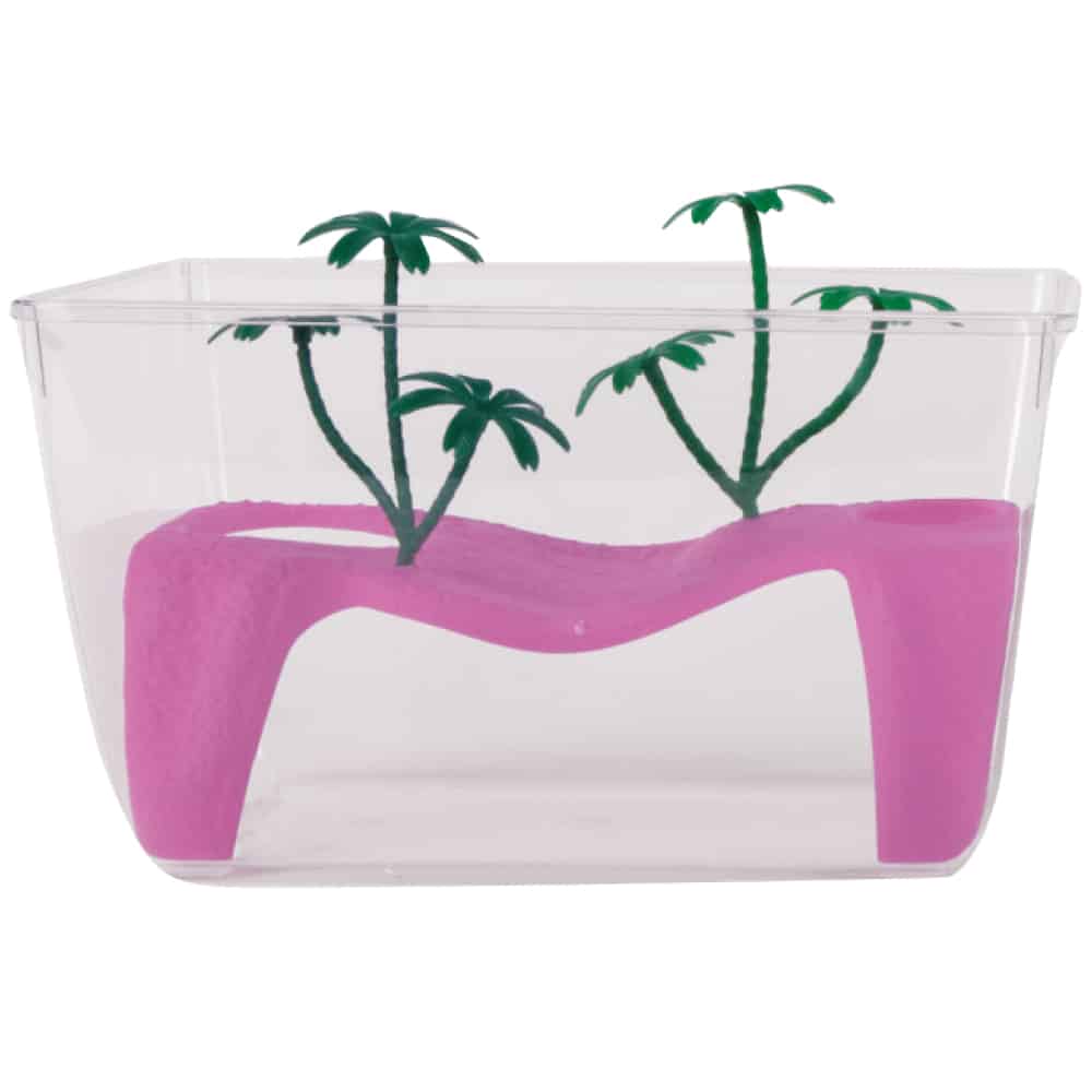 amtra-giglio-procida-bac-tortue-plastique-32-cm-avec-le image 1